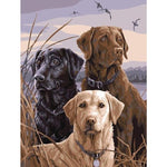 Paint By Numbers Trio Of Labrador