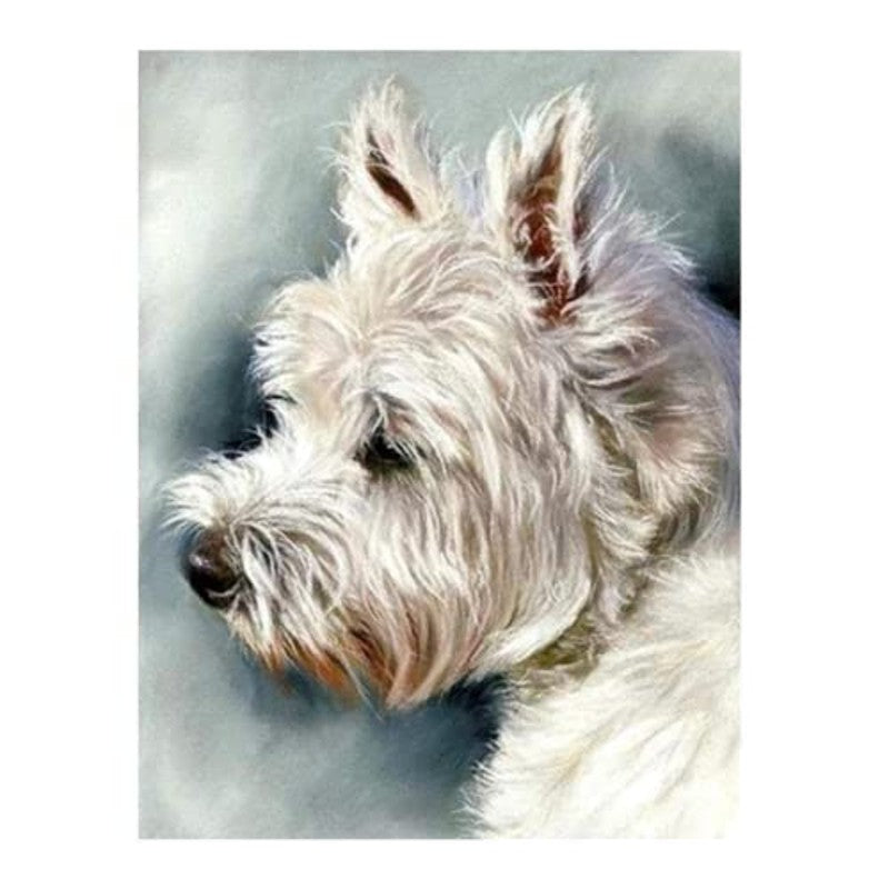 Paint By Numbers Westie Dog