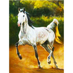 Paint By Numbers White Mustang Horse