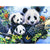 Painting By Numbers Panda Family