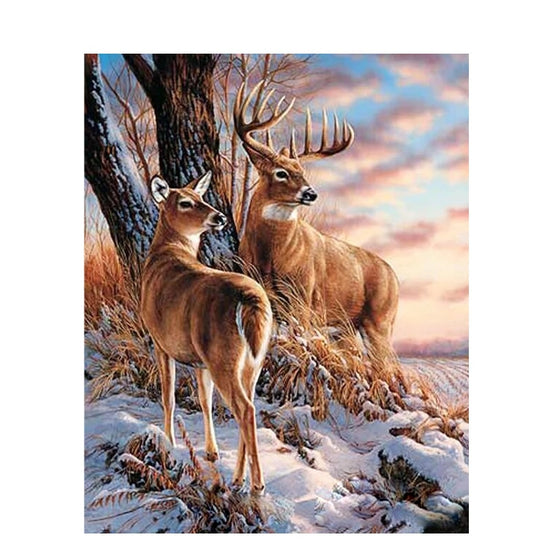 Paint By Numbers Couple Deer