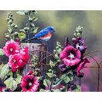 Small Bird On Fence Paint By Numbers Kit
