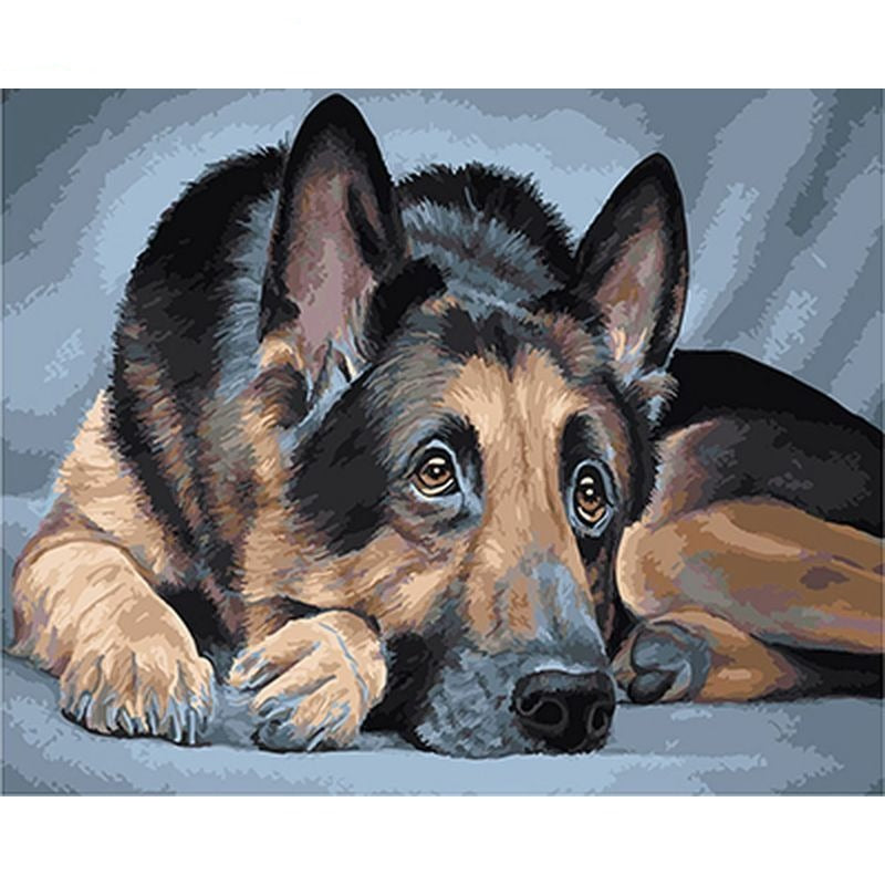 Paint By Numbers German Shepherd