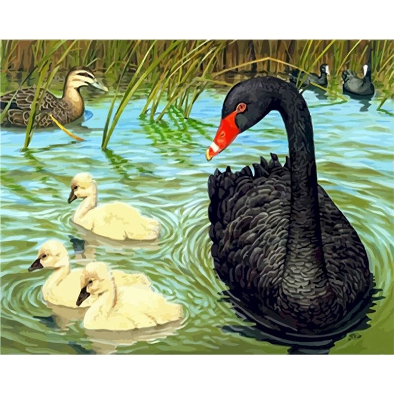 Black Swan And His Cubs
