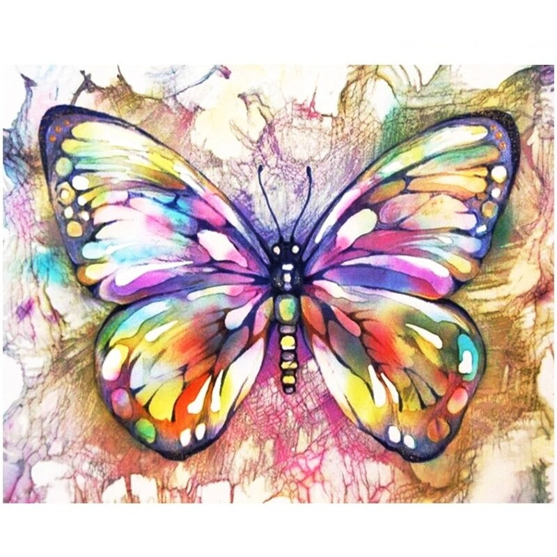 Paint By Numbers Colored Butterfly