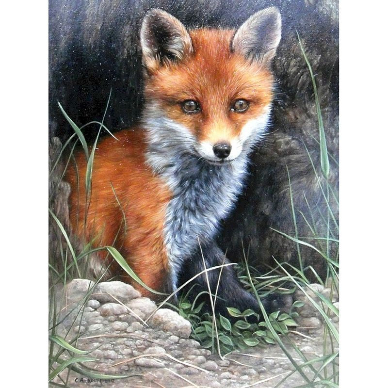 Paint By Numbers Fox In Front Of Burrow