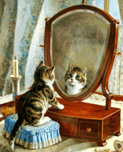 Cat And Mirror