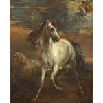 Paint By Numbers Vintage White Horse