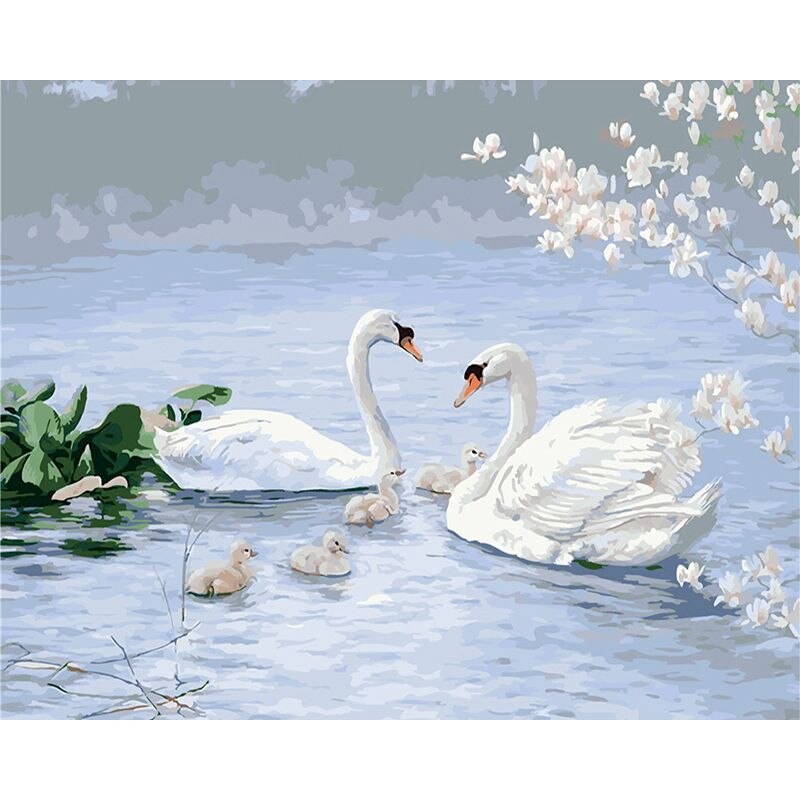 Swan Family Paint By Numbers