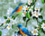 Blue Birds White Flowers