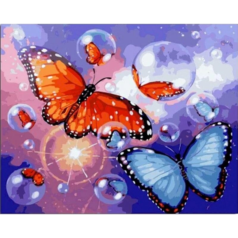 Paint By Numbers Butterflies And Bubble