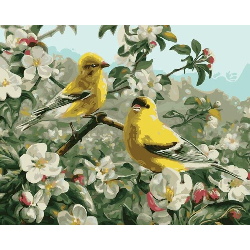 Yellow Birds And White Flowers Paint by numbers kit