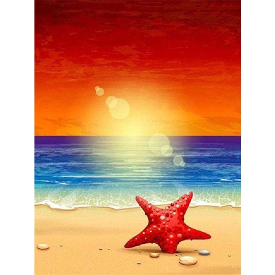 Paint By Numbers Starfish