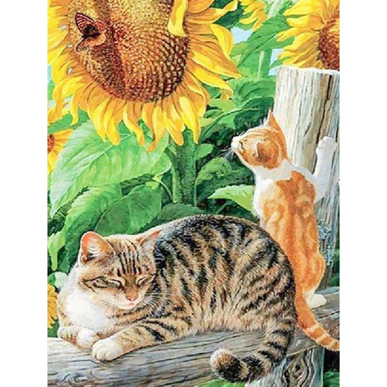 Painting By Numbers Sunflowers And Cats
