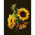 Paint By Numbers Sunflowers Butterfly