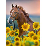 Paint By Numbers Sunflowers And Horses