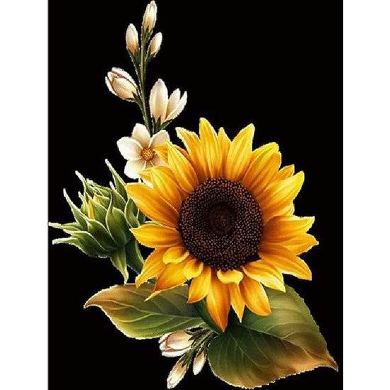 Sunflowers & White Flowers - Paint By Numbers Sunflowers
