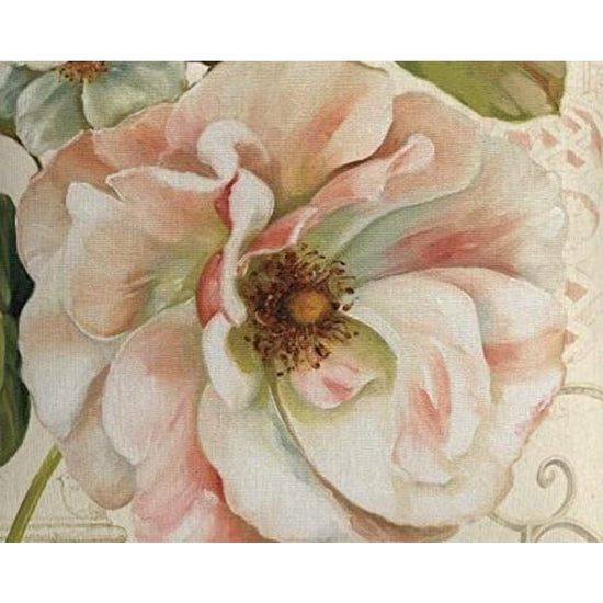 White Flower With Pink Tint - Paint By Numbers Flowers
