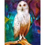 Paint By Numbers White Owl
