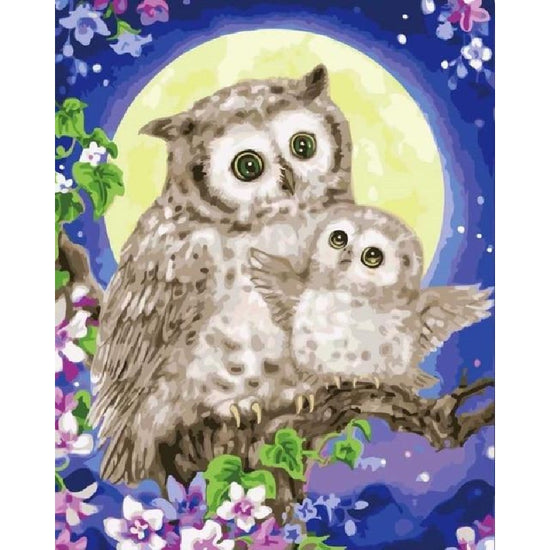 Paint By Numbers Owl And Her Baby