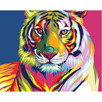 Paint By Numbers Colourful Tiger