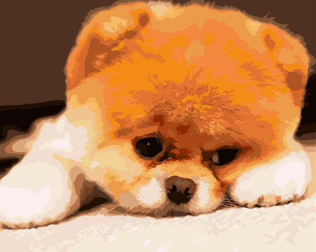 Sad Dog