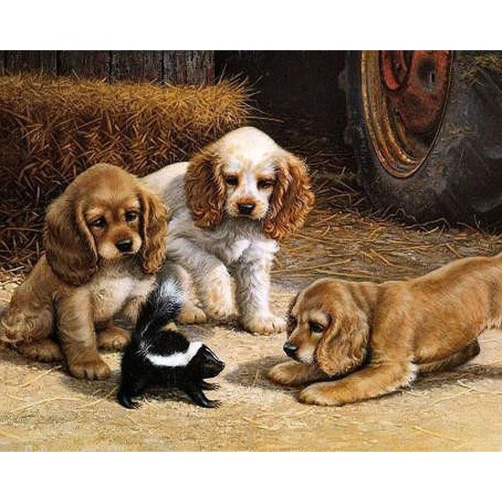 Paint By Numbers Puppy Playing With Skunk