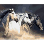 Trio of horses - Paint By Numbers Horse