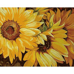 Close Up On Sunflowers