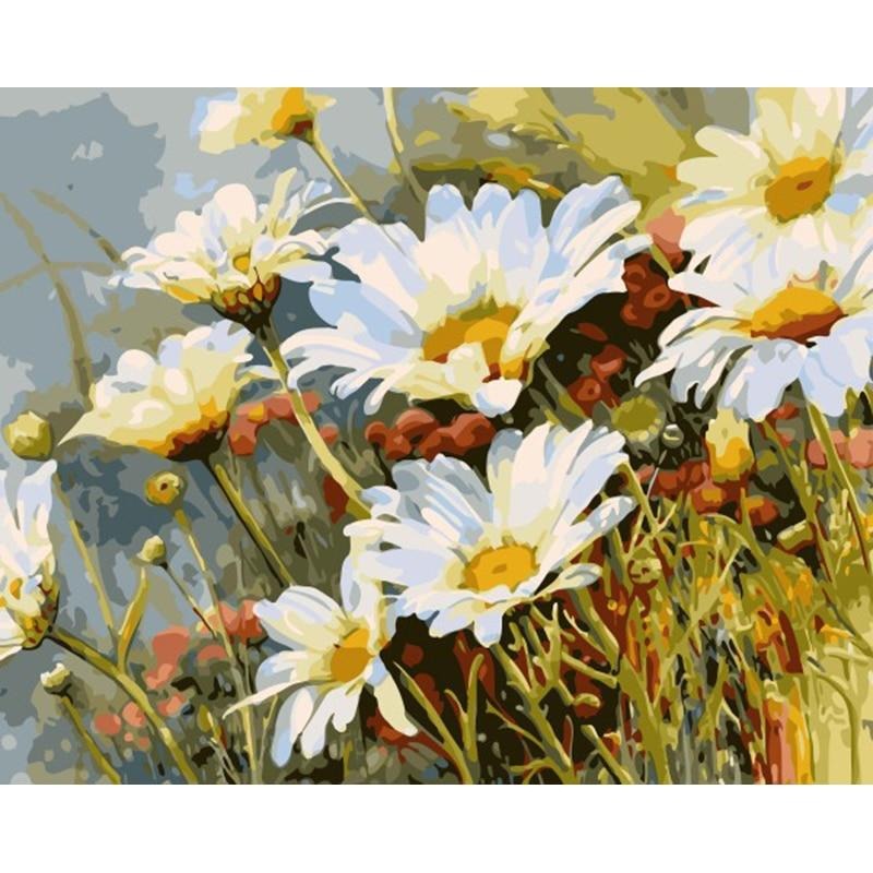 Field Of Daisies - Paint By Numbers Flowers