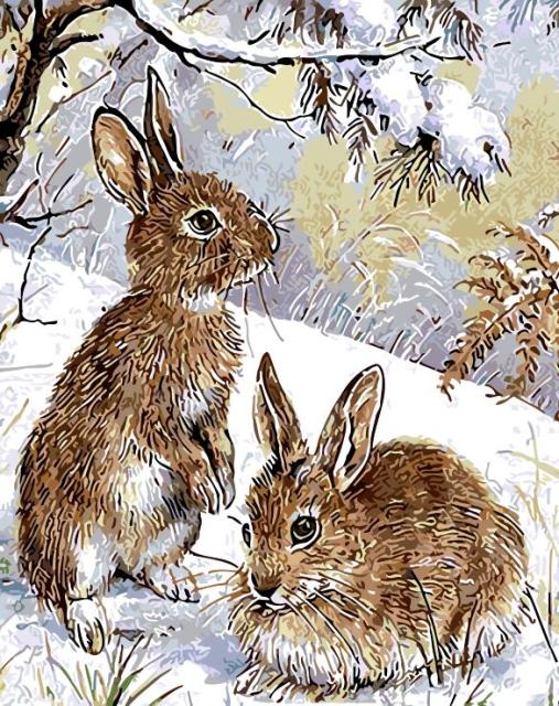 Rabbits In Forest
