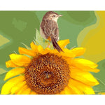 Paint By Numbers Sunflowers And Birds