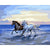 Paint By Numbers Horses On The Beach
