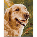 Paint By Numbers Golden Retriever