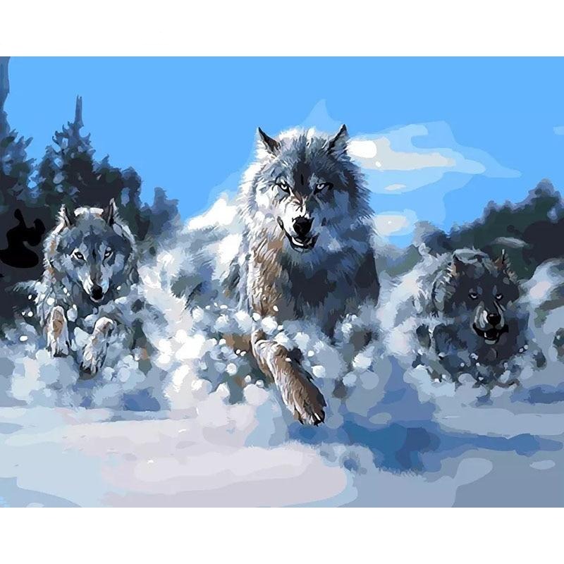Painting By Numbers Wolf