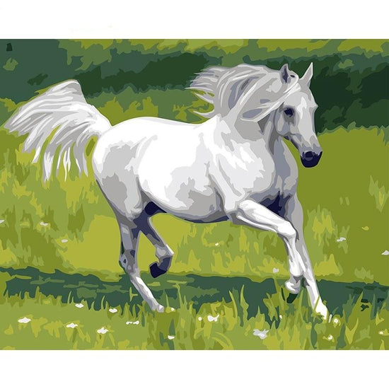 White horse paint by numbers