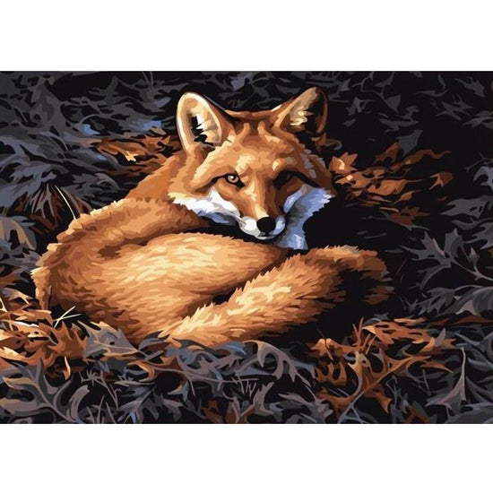 Lying fox - Paint By Numbers Fox