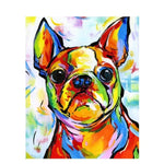 French Bulldog Multicolor