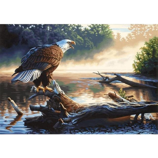 Paint By Numbers Eagle Fish