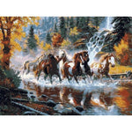Paint by numbers horse scene
