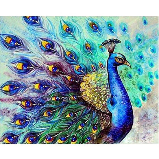 paint by numbers majestic peacock