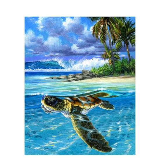 Paint By Numbers Baby Turtle