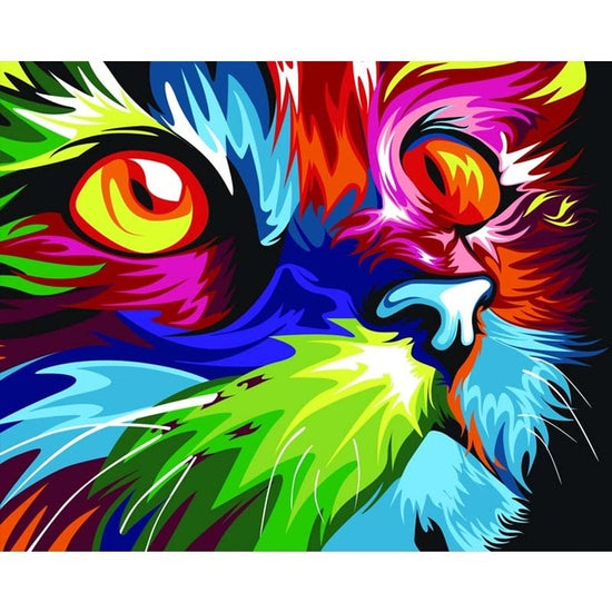 Paint By Numbers Colorful Cat