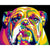 Paint By Numbers English Bulldog