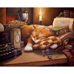 Paint By Numbers Cat Sleeping On Desk