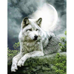 Grey Wolf Paint By Numbers