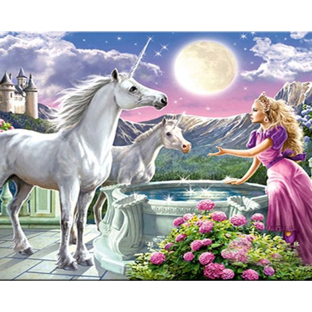 Paint By Numbers Unicorn And Princess