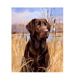 Chocolate Labrador Paint By Numbers