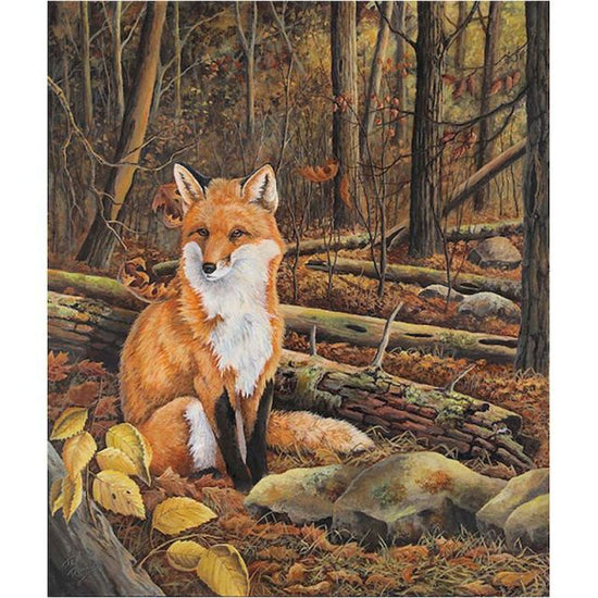 Fox in a forest - Paint By Numbers Fox