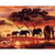Paint By Numbers Elephant Sunset